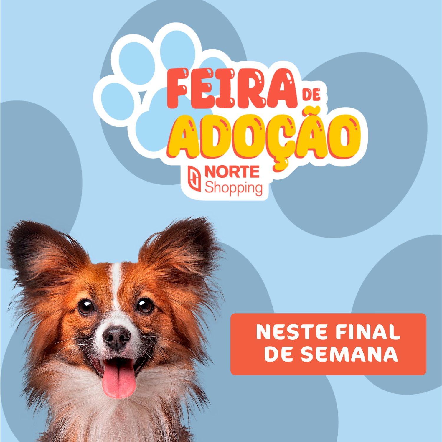 Feira De Ado O Pet Acontece Norte Shopping